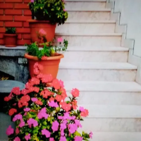 Cvita Apartman *